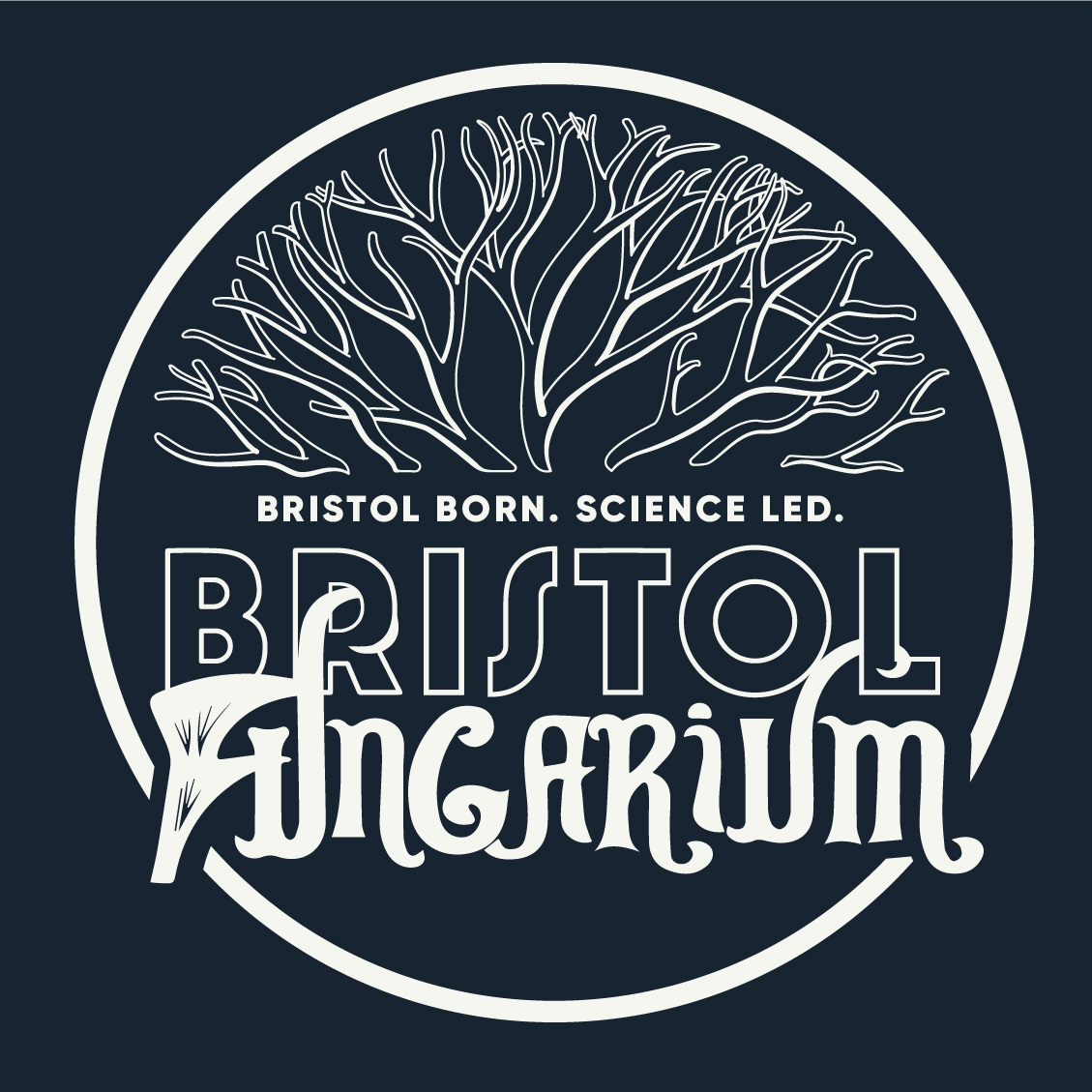 Bristol Fungarium Coupons and Promo Code