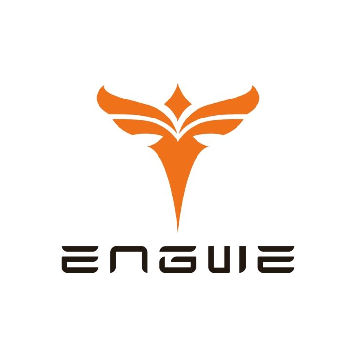 Engwe Bikes DE Coupons and Promo Code