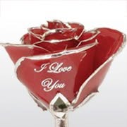 Love is a Rose Coupons and Promo Code