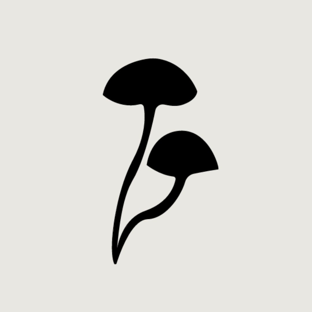 Auri Nutrition Store Coupons and Promo Code